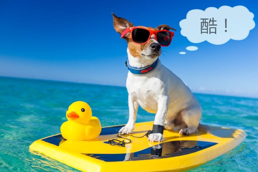 BYshop����ײ�����ͼƬ��������